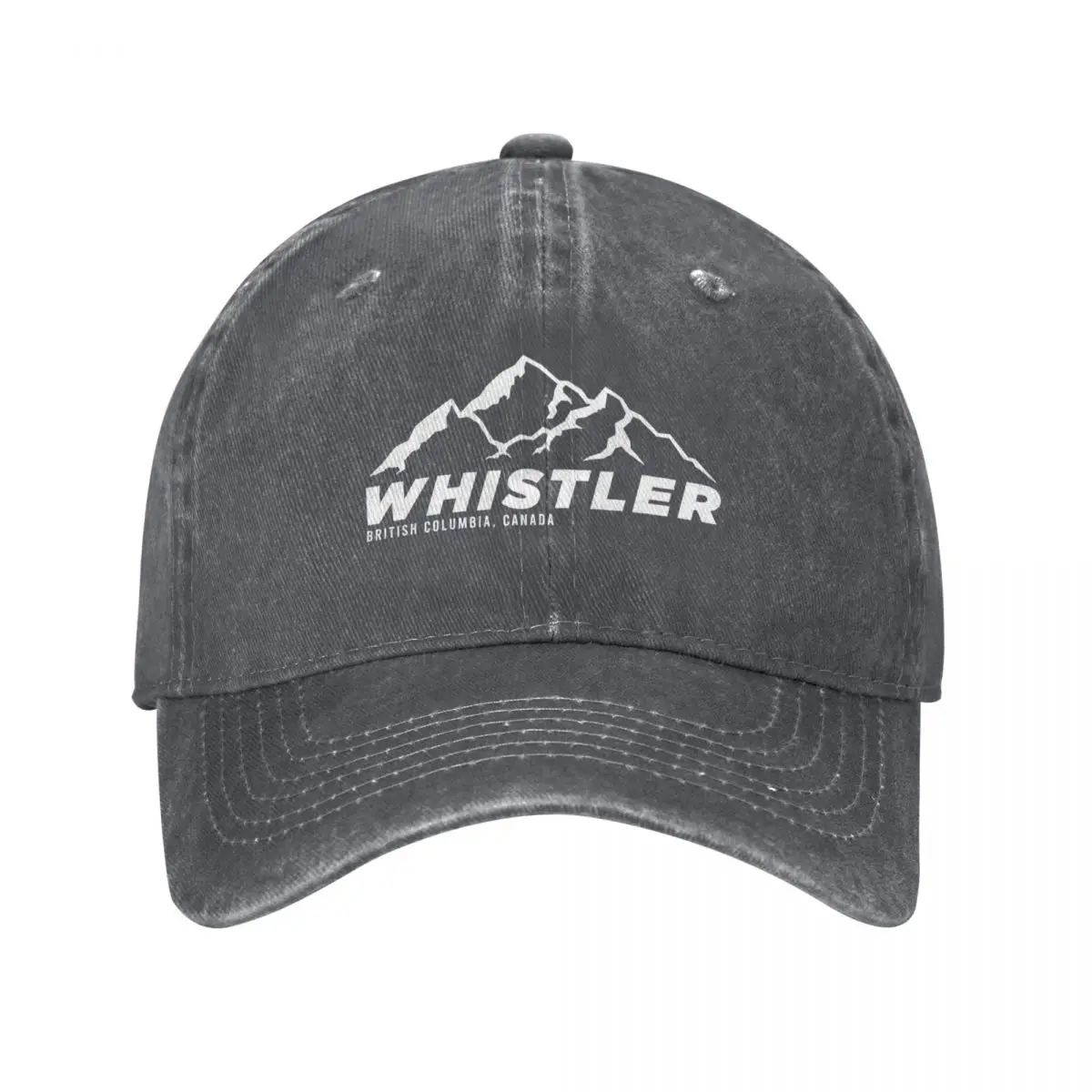 スキー ウィスラー B.C カナダ スキーとマウンテンバイク - Mountain Biking Whistler のレビューと価格
